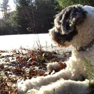 Meet your Posher, Ruthie